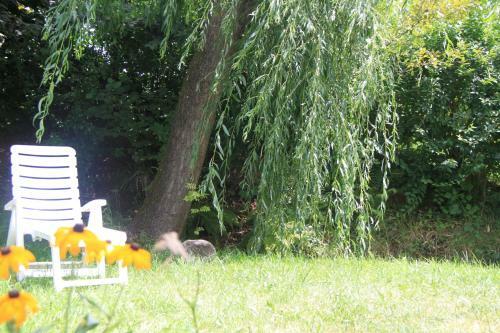 Hotel Garn� Goccia D'oro