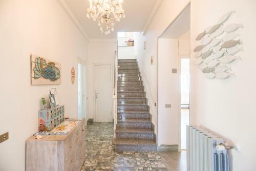 B&B Livia