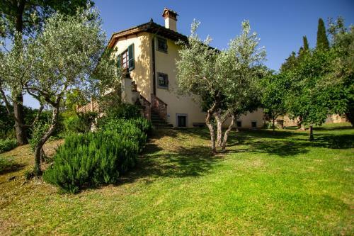Villa Degli Olivi