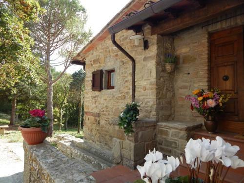 Villa Podere San Cassiano