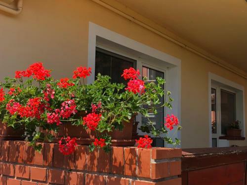 Hostal Angela Hotel