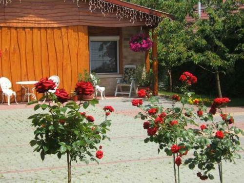 Hostal Angela Hotel