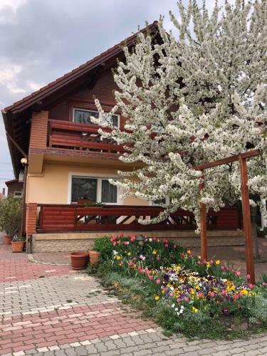 Hostal Angela Hotel