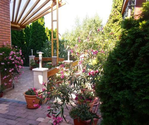 Hostal Angela Hotel