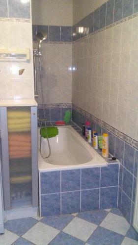 Apartment Smeralova