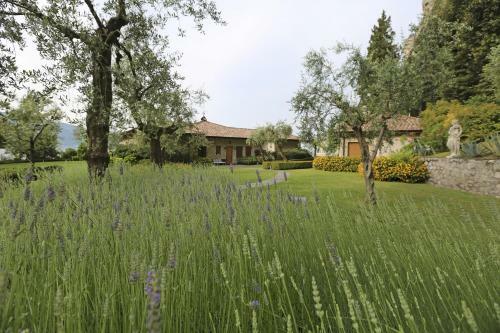 Bed & Breakfast Torre Degli Ulivi