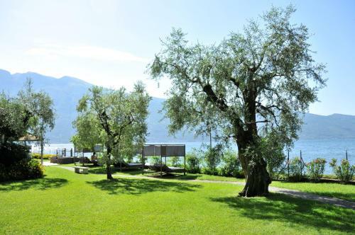 Bed & Breakfast Torre Degli Ulivi