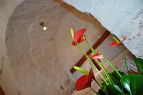 Il Trullo Del Mirto