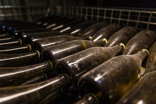 Hotel Domeniile Panciu Winery & Resort