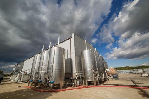 Hotel Domeniile Panciu Winery & Resort