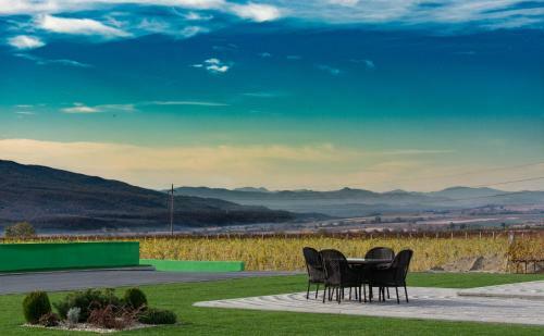 Hotel Domeniile Panciu Winery & Resort