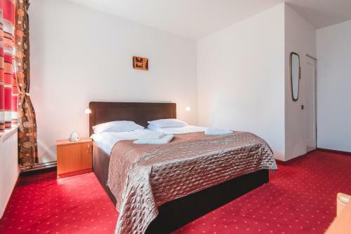 Hostal Guesthouse Casa Baciu