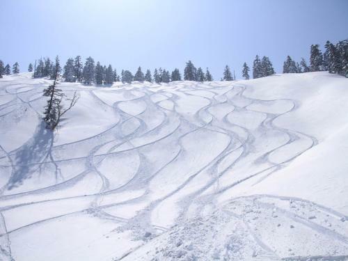 Apartamento Angel Resort Yuzawa 702