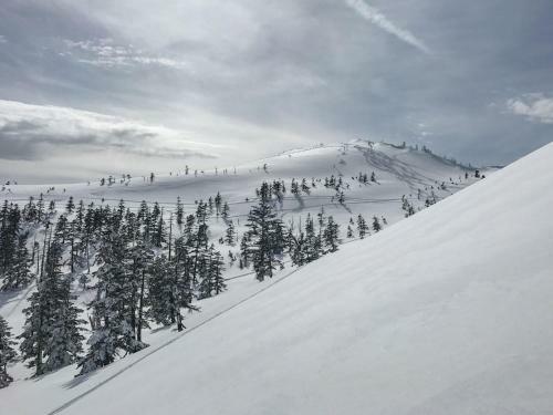 Apartamento Angel Resort Yuzawa 913