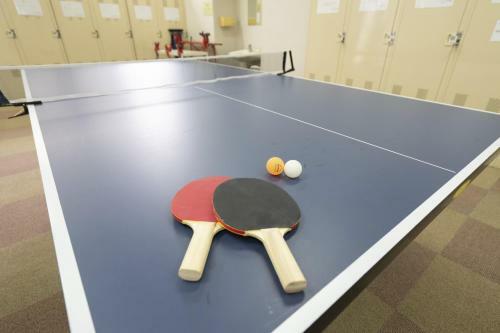 Apartamento Angel Resort Yuzawa 916