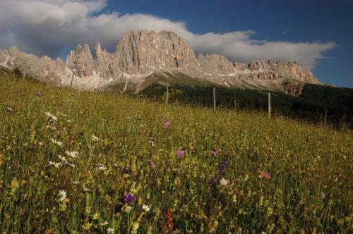 Agroturismo Plaf�tschalm