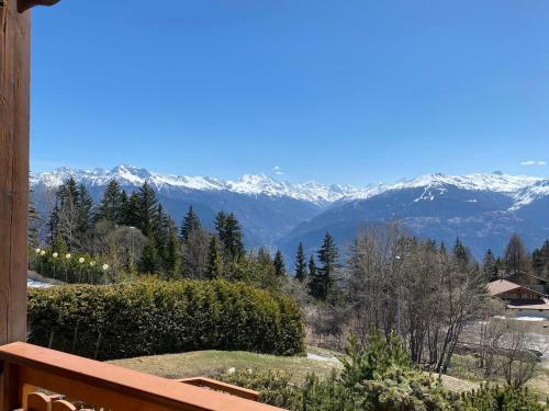 Apartamento Snowbird 5