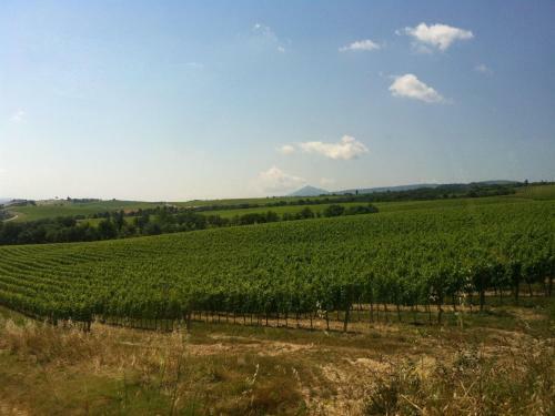 Agroturismo Tulipano Valiano Montepulciano