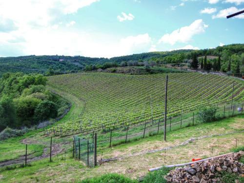 Agroturismo Tulipano Valiano Montepulciano