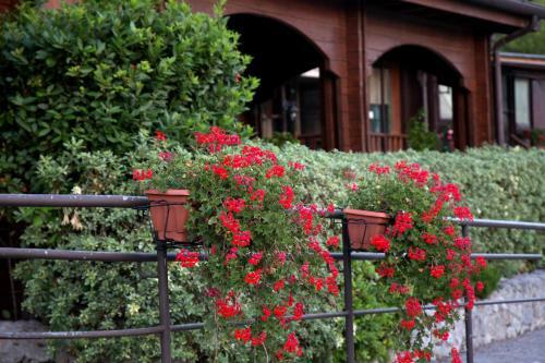 Agroturismo Agriturismo Il Mio Casale