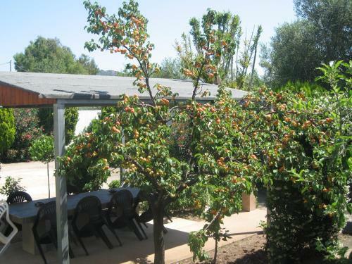 Apartamento Villa Primavera