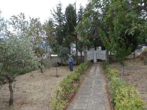 Irene House