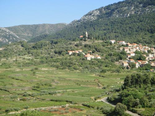 Pure Nature House - Vrisnik - Island Hvar