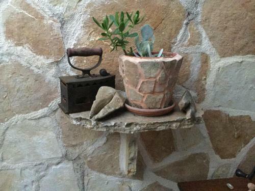 Pure Nature House - Vrisnik - Island Hvar