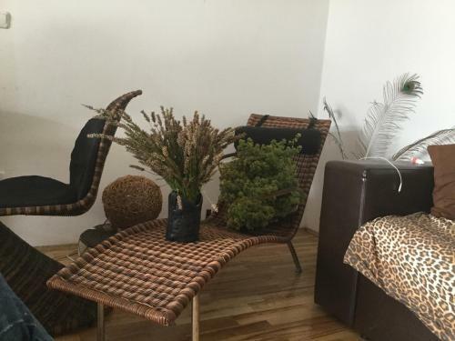 Pure Nature House - Vrisnik - Island Hvar
