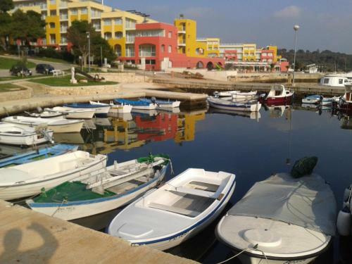 Apartamento Maistral