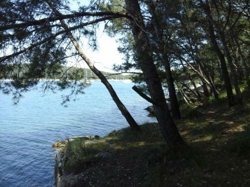 Apartamento Maistral