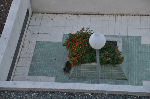 Apartamento Vistaevan