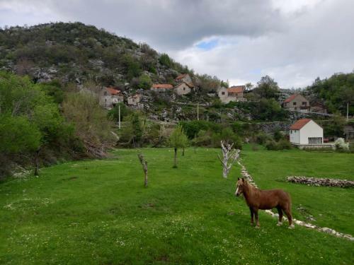Konak Ugnji
