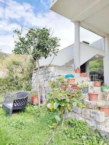 Apartman Jelena