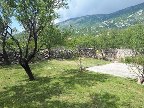 Apartman ?timac