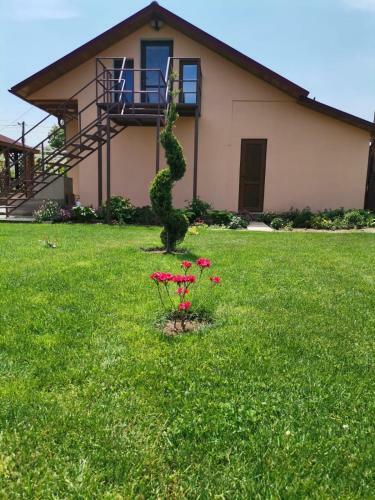 Hostal Casa Viviana