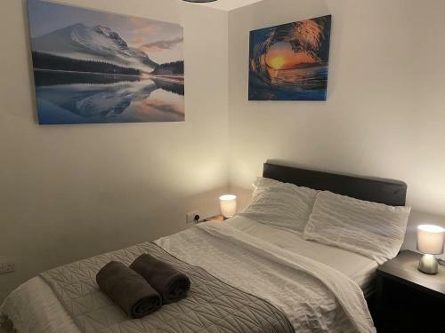 Comfortable Apartments In Riga