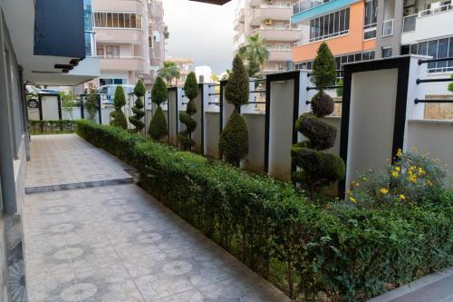 Apartamento Tezel 3