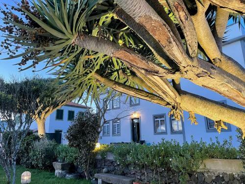 Casa �s Nove