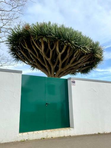 Casa �s Nove