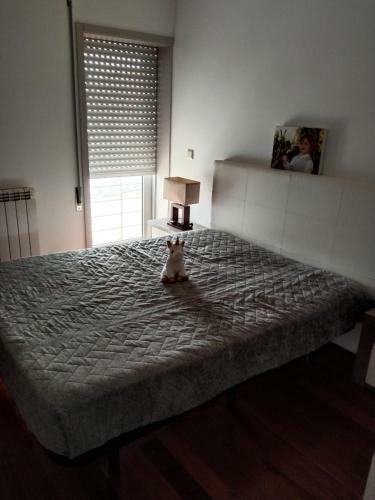 Apartamento Varandas Sargaceira