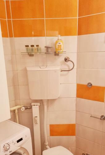 Thomas Apartment 028
