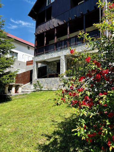 Villa The Bear House 2