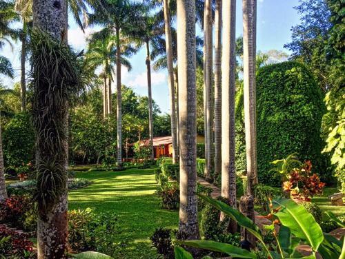 Hotel Hacienda Chichen Resort And Yaxkin Spa