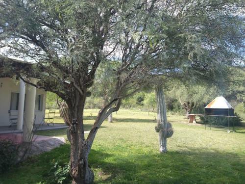 Apartamento Caba�as La So�ada