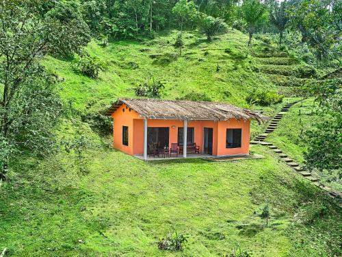 Hotel Rain Forest Lodge
