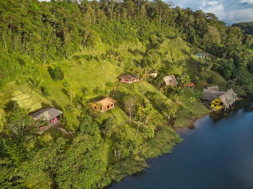 Hotel Rain Forest Lodge
