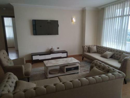 Luxury Fully Furnished Apartment
