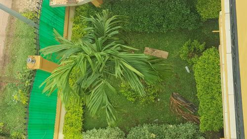 Apartamento R�sidences H�teli�res Micheline Et Emile