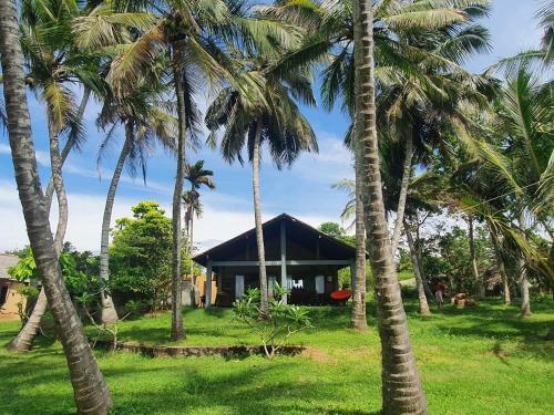 Ocean Cottage - Sea